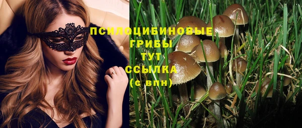 тгк Покачи
