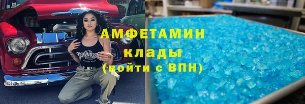 прущие грибы Беломорск