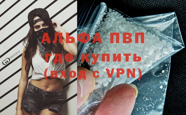 прущие грибы Беломорск