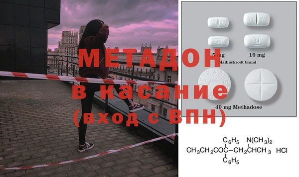 прущие грибы Беломорск