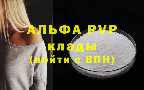 прущие грибы Беломорск