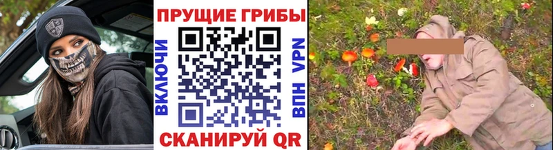 Галлюциногенные грибы Psilocybe Пыть-Ях