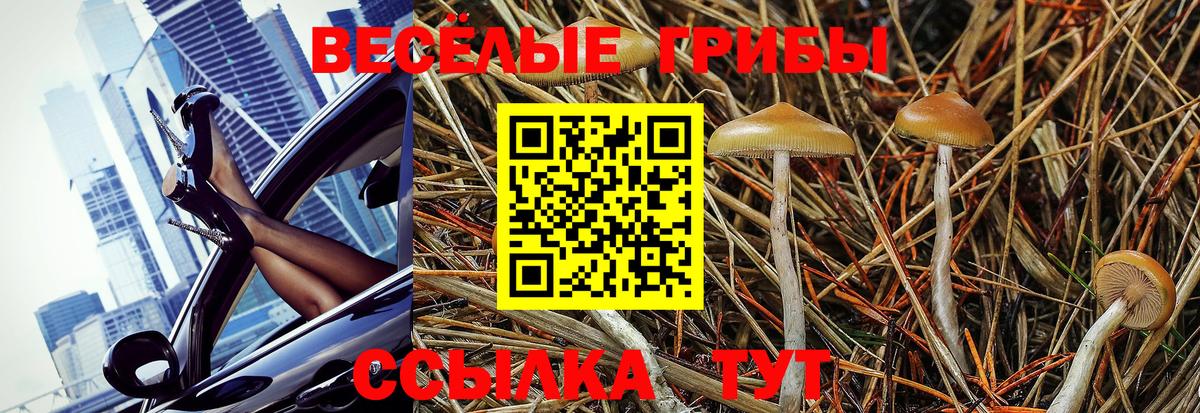 Псилоцибиновые грибы прущие грибы Пыть-Ях